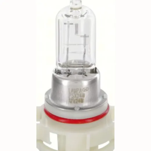 12V Halogen lamp - PS24W - 24W - PG20-3 - 1 pcs - Box