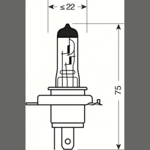 L58043_1