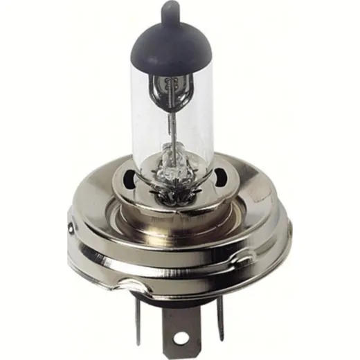 12V Halogen lamp - (H5) - 100/80W - P45t - 1 pcs - D/Blister