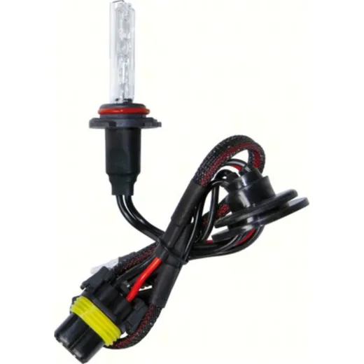 12/24V HID Xenon bulb 8.000K - H10 - 1 pcs - Box