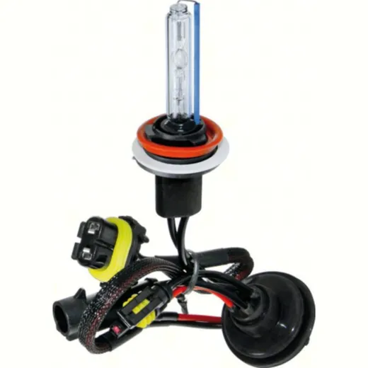12/24V HID Xenon bulb 8.000K - H11 - 1 pcs - Box