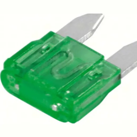 100 Stk. Mikro-Flachsicherungen 30A