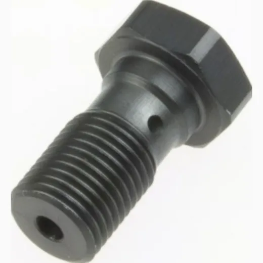 banjo bolt M10x1.00 (for Brembo) MCH 911 T