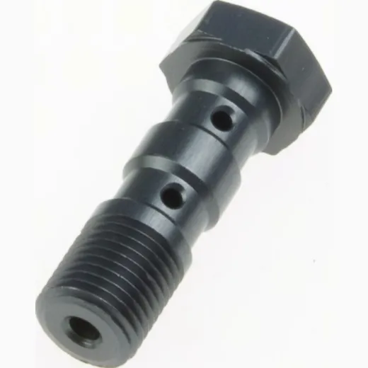 double banjo bolt M10x1.00 (for Brembo) MCH 961 T