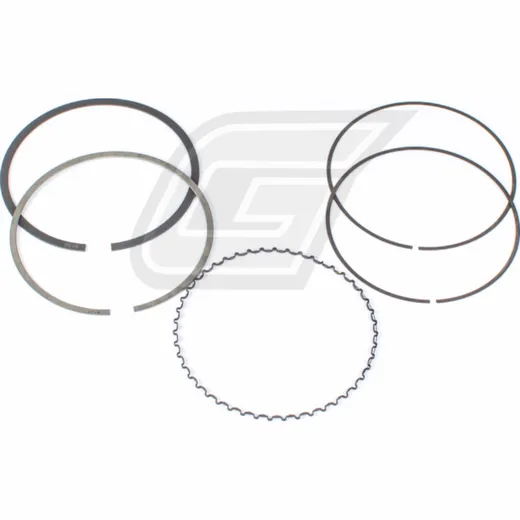 ring set forcylinder kit 100 Ø 490cc