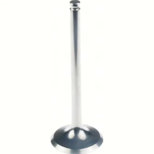 29.00 x 81.30 x 5.45 Titanium Exhaust valve