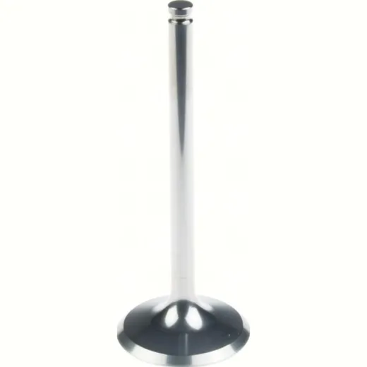31.00 x 80.80 x 5.45 Titanium Exhaust valve