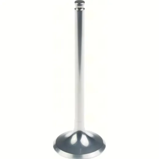 30.00 x 85.95 x 5.47 Titanium Exhaust valve