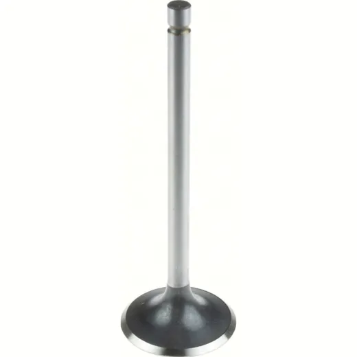 36.00 x 105.75 x 6.55 Steel Intake valve