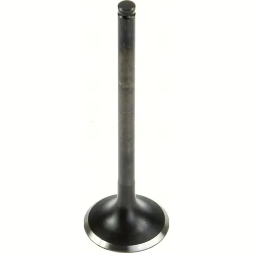 19.00 x 69.00 x 4.97 Steel Intake valve