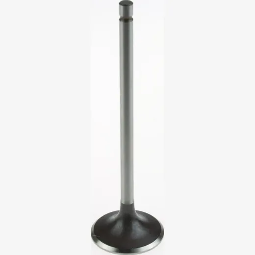 28.50 x 96.60 x 4.96 Steel Intake valve