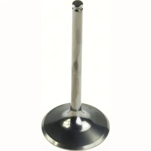 30.00 x 100.55 x 5.95 Steel Intake valve