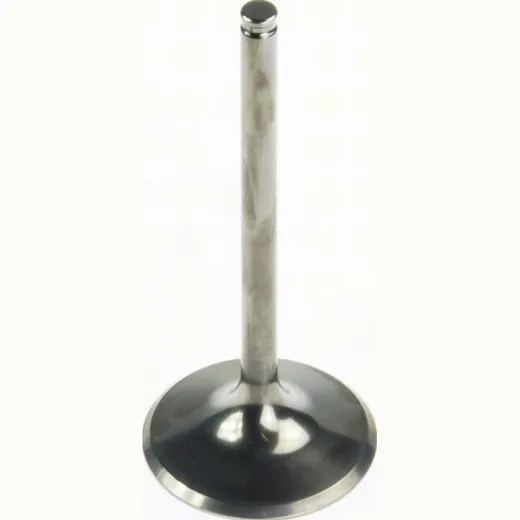 36.00 x 84.60 x 5.48 Einlassventil (Titanium)