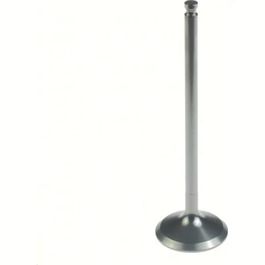 23.00 x 78.55 x 3.98 Einlassventil-Mitte (Titanium)