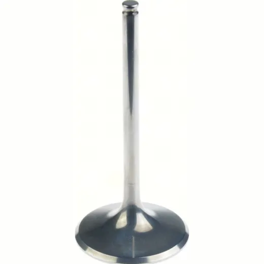 Titanium Intake valve