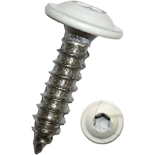 Sheet Metal Screw with Flange 4.8x16 Torx White A2 RAL9010