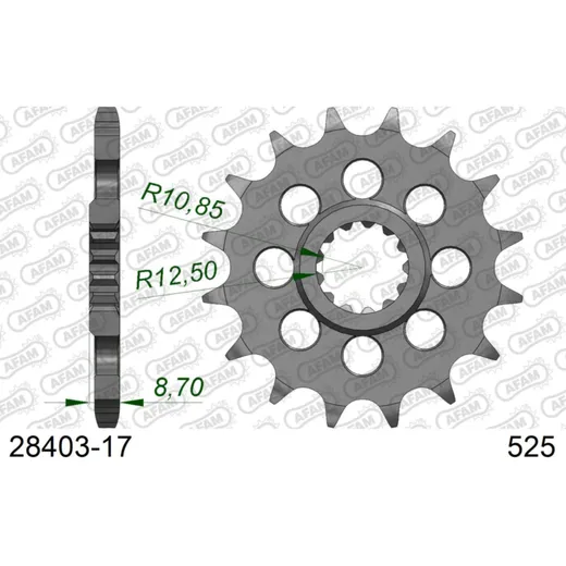 Ritzel AFAM 428 - 11Z 2820011