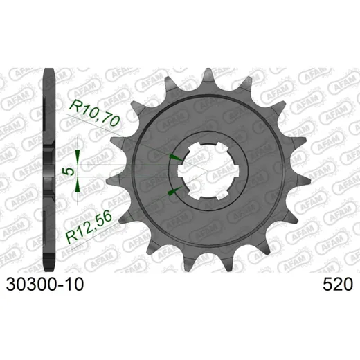 Front Sprocket AFAM 520 - 13t 2840213