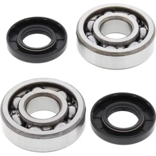 Crank Shaft Bearing Kit Cobra CX 65 07-14