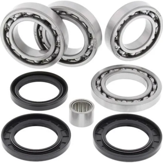 Differential Bearing / Seal Kit Rear Arctic Cat Wildcat 1000 14