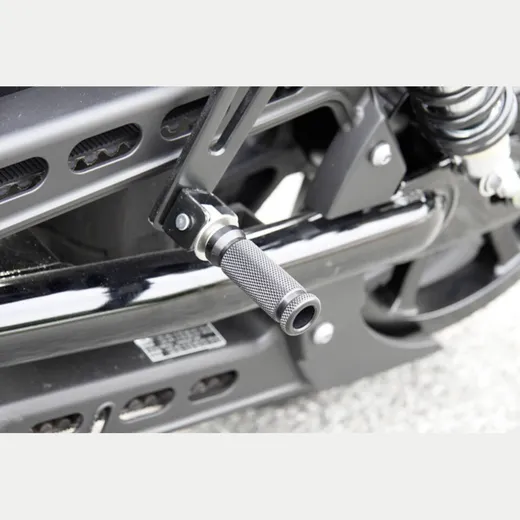 LSL Passenger rest holder foldable for: BMW R 100