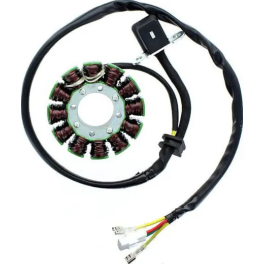 ElectroSport Stator ESG169 for alternator
