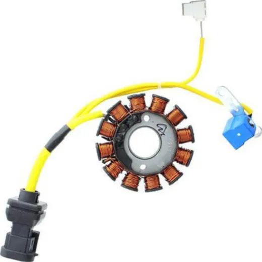 ElectroSport Alternator stator ESG194
