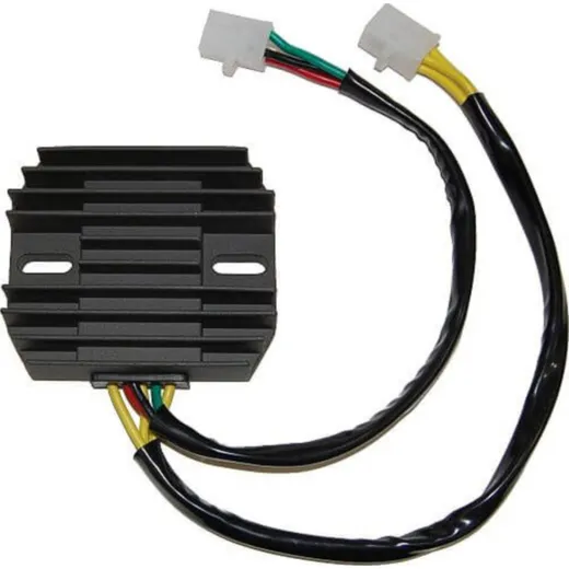 ElectroSport Charge controller ESR 160