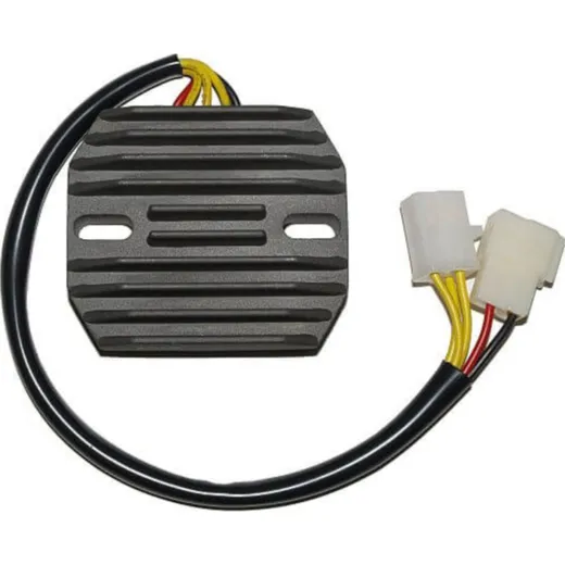 ElectroSport Charge controller ESR 170