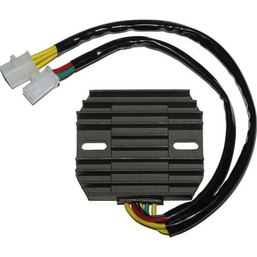 ElectroSport Charge controller ESR 180
