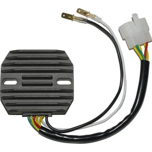 ElectroSport Charge controller ESR 240
