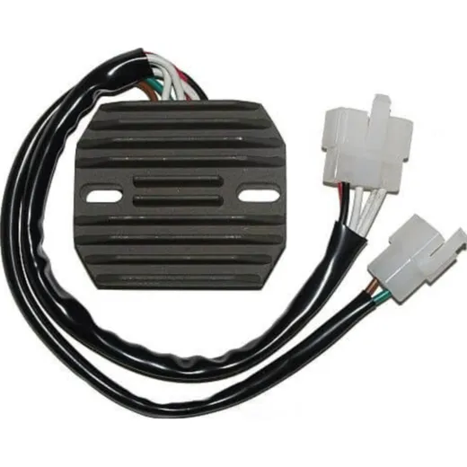 ElectroSport Charge controller ESR 350