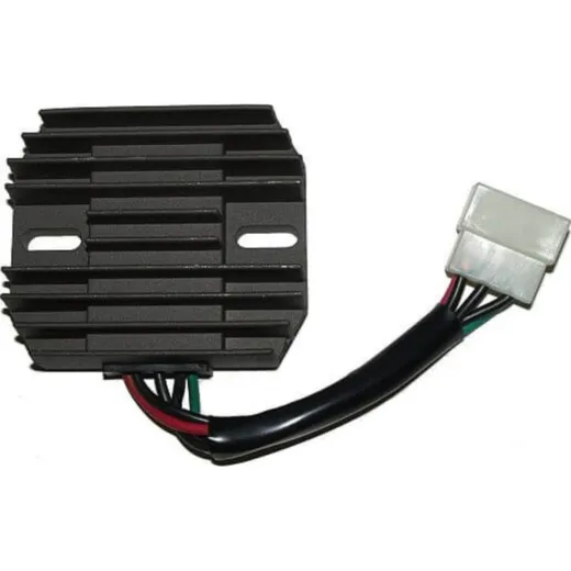 ElectroSport Charge controller ESR 550