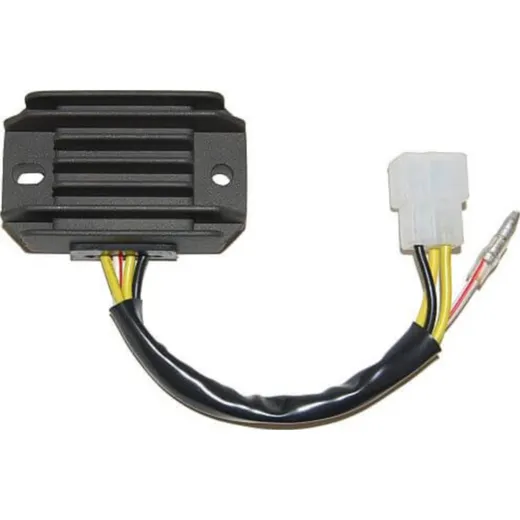 ElectroSport Charge controller ESR 600
