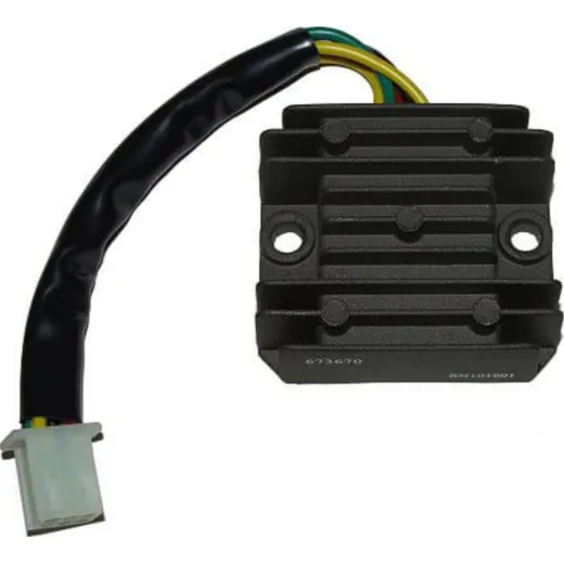 ElectroSport Charge controller ESR 670