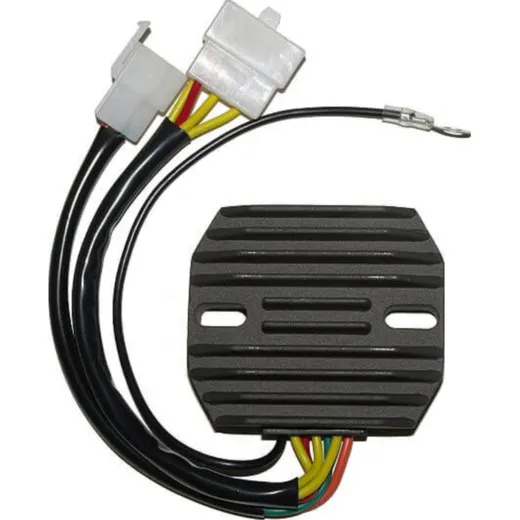 ElectroSport Charge controller ESR 770