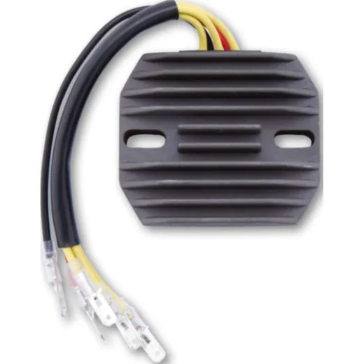 ElectroSport Charge controller ESR 130