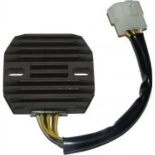 ElectroSport Charge controller ESR 263