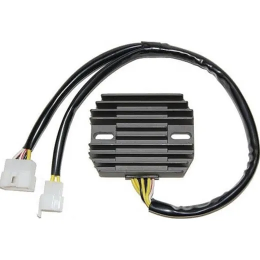 ElectroSport Charge controller ESR 310