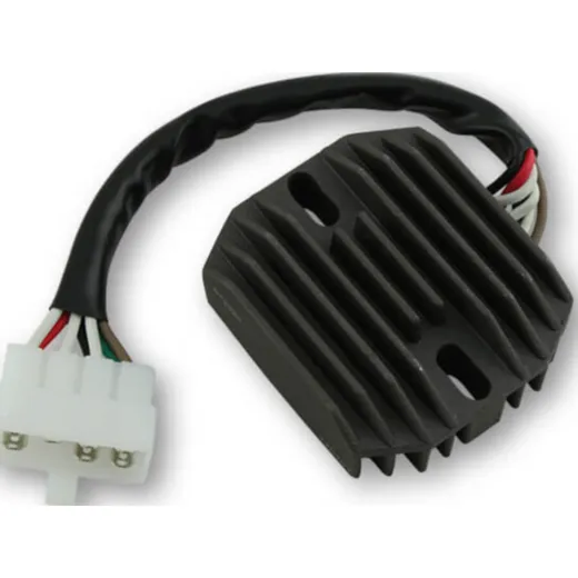 ElectroSport Charge controller ESR 320
