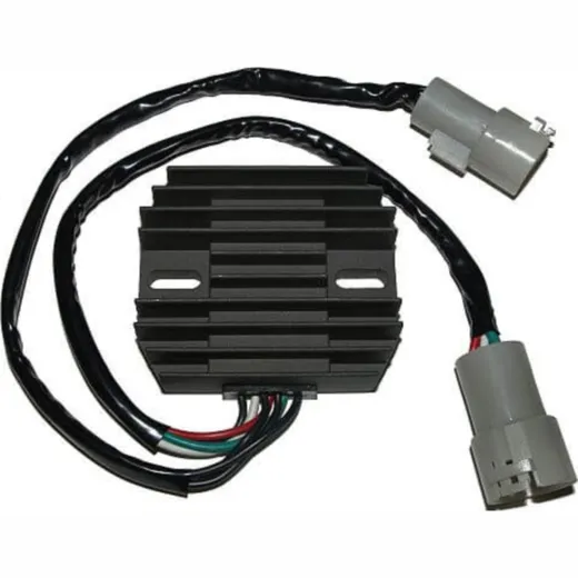 ElectroSport Charge controller ESR 442
