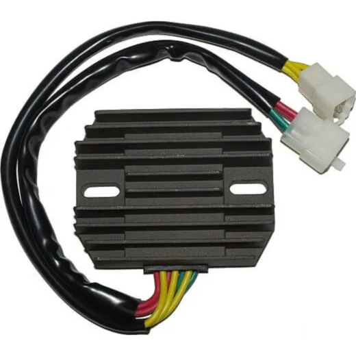 ElectroSport Charge controller ESR 531