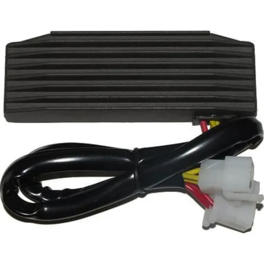 ElectroSport Charge controller ESR 750