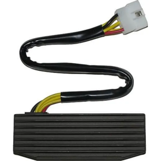 ElectroSport Charge controller ESR 751