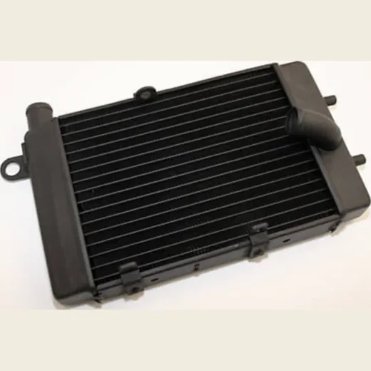 motoprofessional Water cooler Tuono 02-05, left