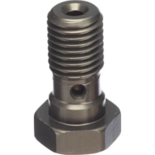 ABM Banjo bolt Alu M10 x 1,25, titanium