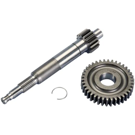 Antrieb Getriebe primär Polini 15/38 für Piaggio 50 2T 1998- 202.1405