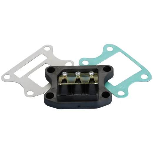reed valve Polini for Honda, Kymco, Peugeot, SYM vertical 213.0049