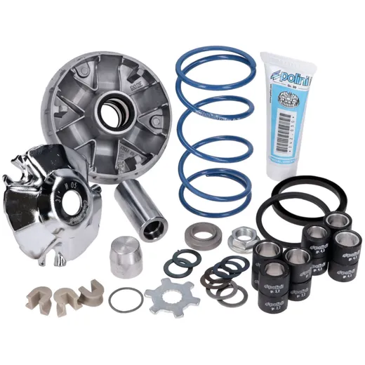 Variator Variomatik Polini Hi-Speed Evolution 2 16mm, 12,5° für Piaggio 241.749