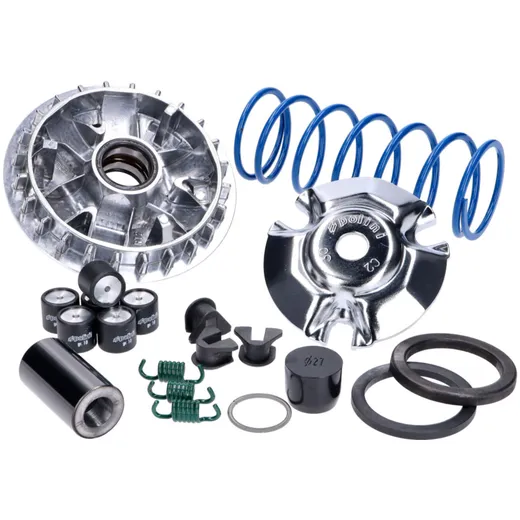 Variator Variomatik Polini Maxi Hi-Speed für Honda SH, PCX, Forza 125-150i ABS Euro5 241.755 Variator Variomatik Polini Maxi Hi-Speed für Honda SH, PCX, Forza 125-150i ABS Euro5 241.755
